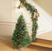 4 feet charming conical shape with sturdy horizontal branches#size_4FT